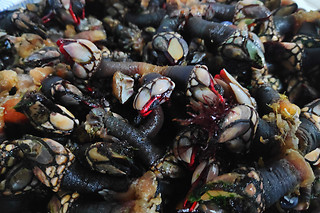 Marisqueiras para dois