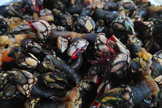 Marisqueiras para dois