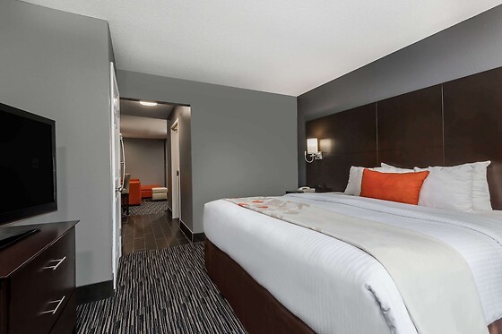 Online Booking EPS - photo 7