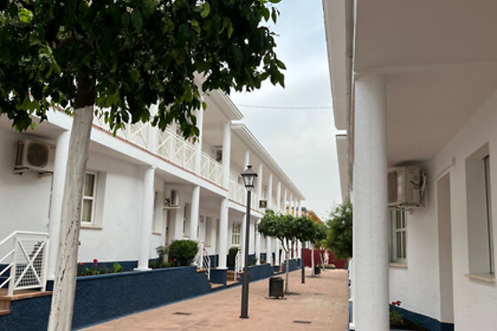 HOTEL BLU TORRE DE SEVILLA - photo 6