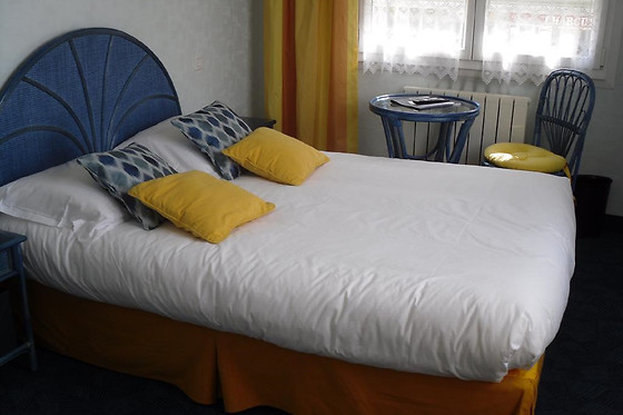 Hôtel des Iles - photo 5