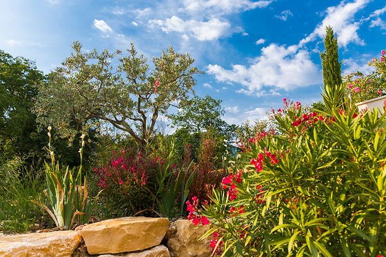 Le Mas de La Baume - photo 11