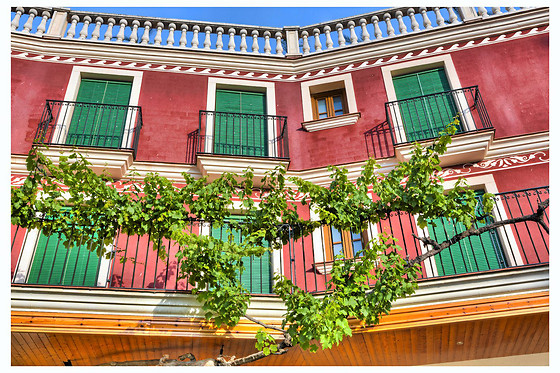 HOTEL ANTIGA - photo 3