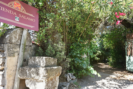 Villa Leona - photo 3