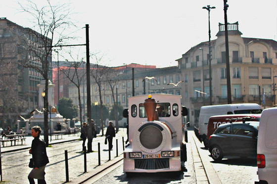 Passeio de Comboio e Visita guiada | Magic Tourism no Porto