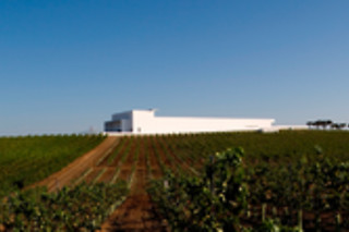 Visita à adega e degustação de vinhos para 2 | Adega Mayor em Campo Maior