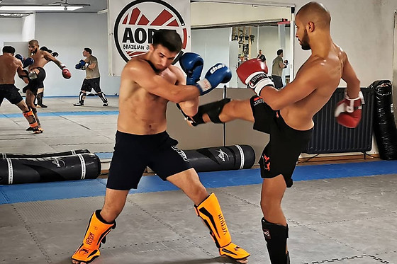 Aorta Brazilian Jiu Jitsu - photo 4