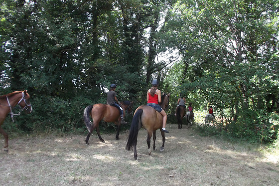 Un Poney, une histoire - photo 9