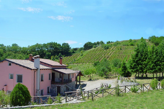 Agriturismo Arcomano - photo 4
