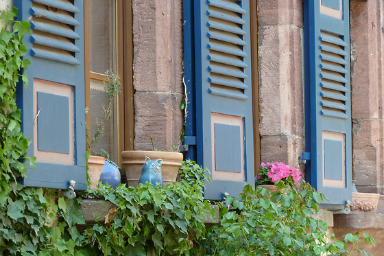 HOTEL CADOSA - photo 7