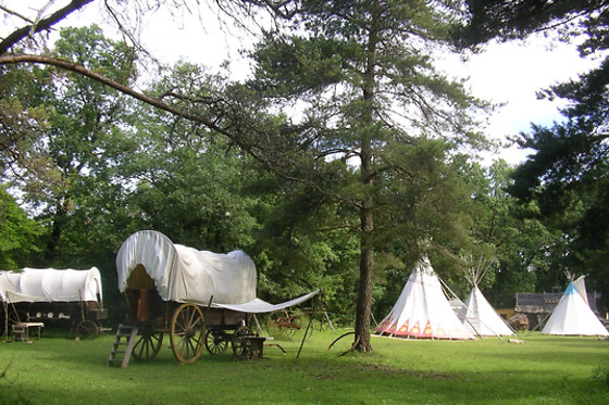 West Wood Ranch - photo 9