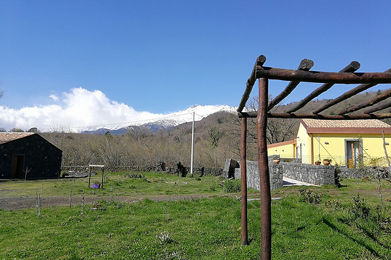 Agriturismo Viola Nel Parco - photo 11