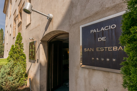 HOSPES PALACIO DE SAN ESTEBAN - photo 4