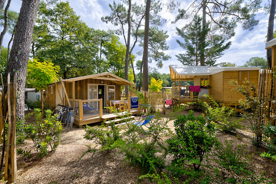 Camping Au Bois des Biches - photo 8