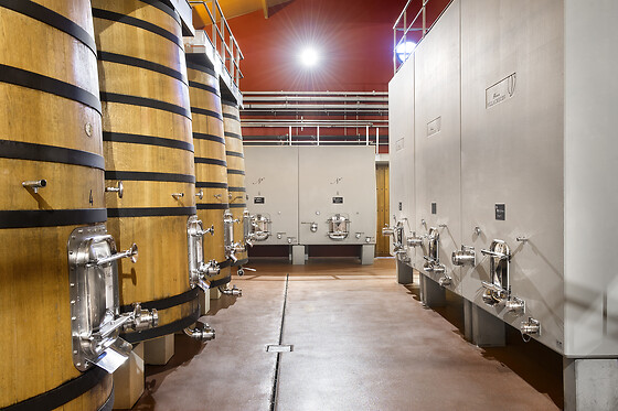 BODEGA FINCA VILLACRECES & BODEGA IZADI - photo 6