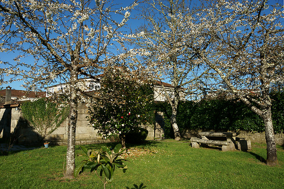 PAZO ALMUZARA - photo 14