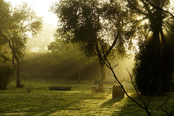 PAZO ALMUZARA - photo 11
