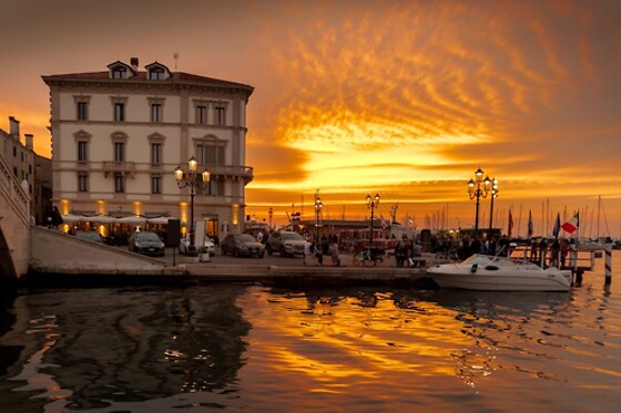 Online Booking EPS - photo 0