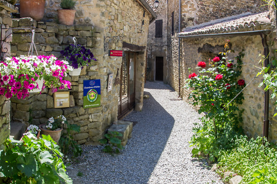 Les Roses Tremières - photo 6