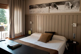 HOTEL PESSETS