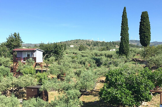 ECOTURISMO VILLAFELICHE - photo 21
