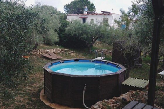 ECOTURISMO VILLAFELICHE - photo 16