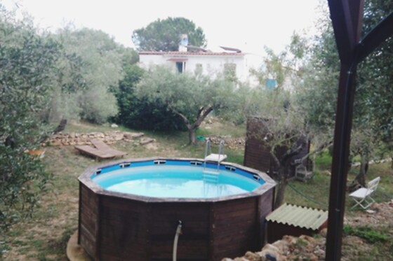 ECOTURISMO VILLAFELICHE - photo 17