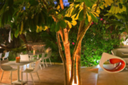 HOTEL ARECA
