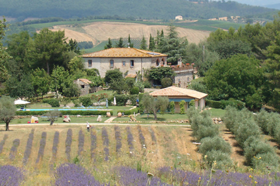 Il Poggio di Teo - photo 10