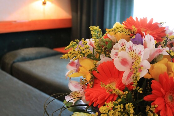 Online Booking EPS - photo 1