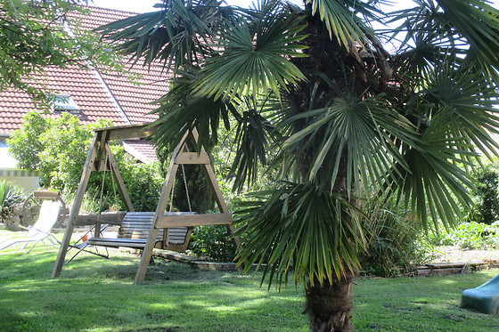 La Bonardière - photo 0
