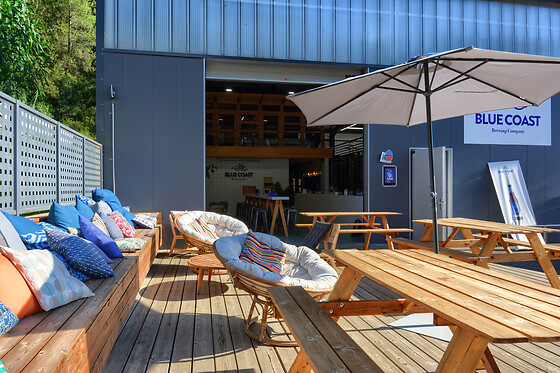 Blue Coast - photo 5