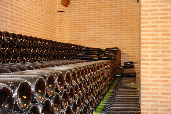 BODEGAS Y VIÑEDOS PEDRO GARCIA - photo 2