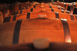 Degustação de vinhos e visita à adega para 2 | Herdade do Perdigão em Monforte
