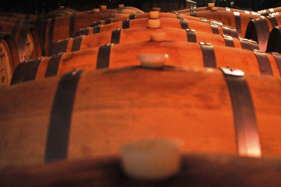 Degustação de vinhos e visita à adega para 2 | Herdade do Perdigão em Monforte