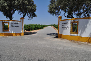 Degustação de vinhos e visita à adega para 2 | Herdade do Perdigão em Monforte
