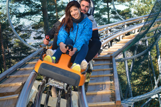 Pack 100% Vertigem para 2 | Pena Aventura Park em Portugal