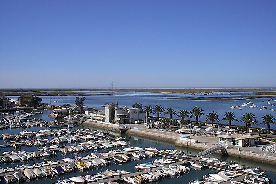 MegaSport - photo 2