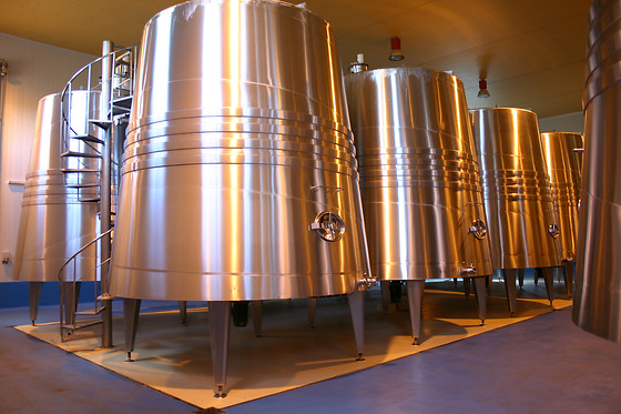 BODEGAS MONT REAGA - photo 5