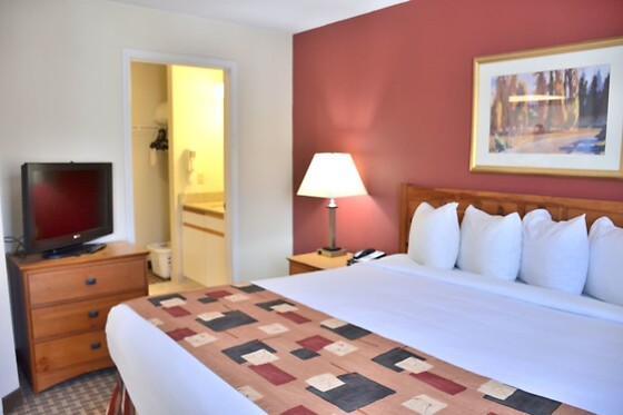 Online Booking EPS - photo 7