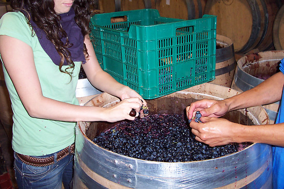 BODEGA RAMON RAMOS - photo 2