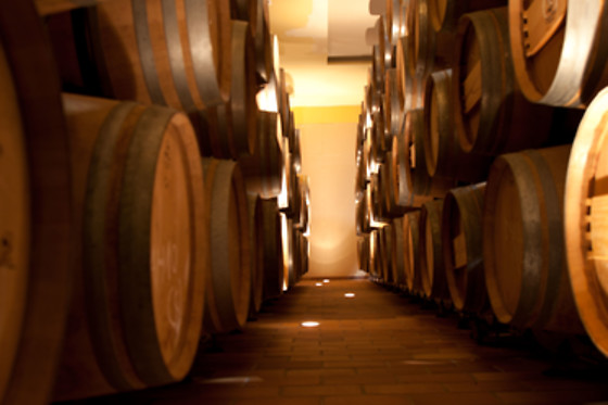 BODEGA DIAZ BAYO - photo 2