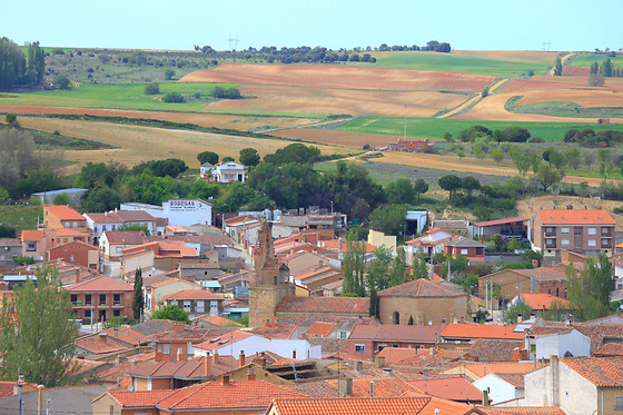 BODEGA RAMON RAMOS - photo 1