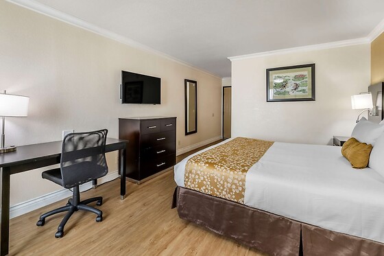 Online Booking EPS - photo 11