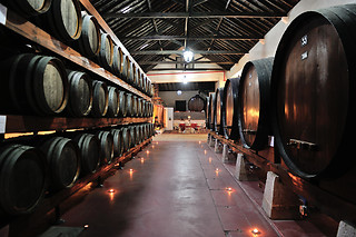 Visita à Adega + Prova de Vinhos + Produtos Regionais para 2 | Adega Venâncio da Costa Lima, Quinta do Anjo (Palmela)