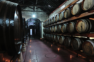 Visita à Adega + Prova de Vinhos + Produtos Regionais para 2 | Adega Venâncio da Costa Lima, Quinta do Anjo (Palmela)