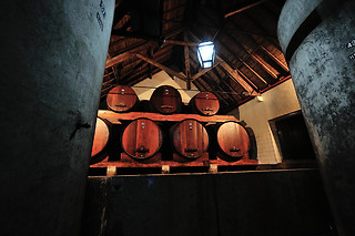Visita à Adega + Prova de Vinhos + Produtos Regionais para 2 | Adega Venâncio da Costa Lima, Quinta do Anjo (Palmela)