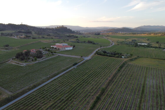 QUINTA DOS TERMOS - photo 2
