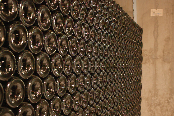 QUINTA DOS TERMOS - photo 4