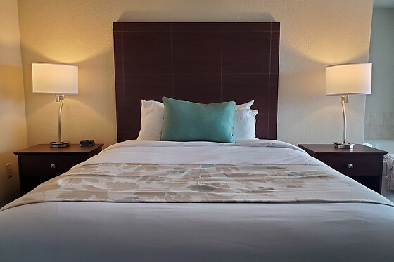 Online Booking EPS - photo 6